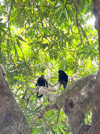 Others 3, Buena Onda Bungalows, Puntarenas