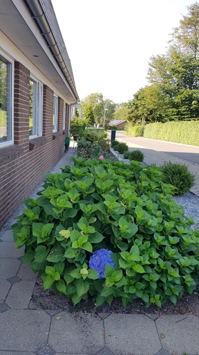 Others 3, Bente's Guesthouse, Holstebro