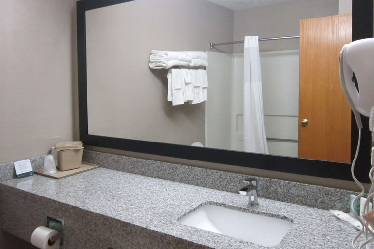 Bathroom 4, Quality Inn Nashville - Bloomington, Brown