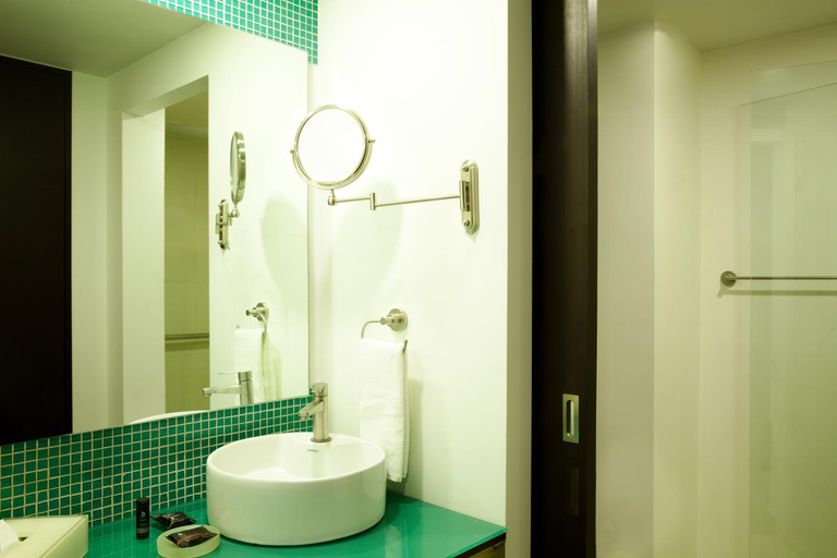 Bathroom 4, Fiesta Inn Guadalajara Aeropuerto, El Salto