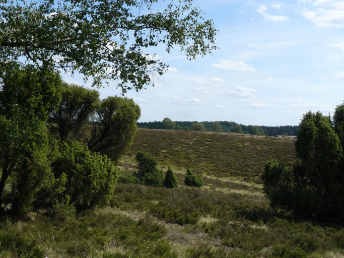 Others 4, Holiday Home in Wietzendorf With Terrace, Heidekreis