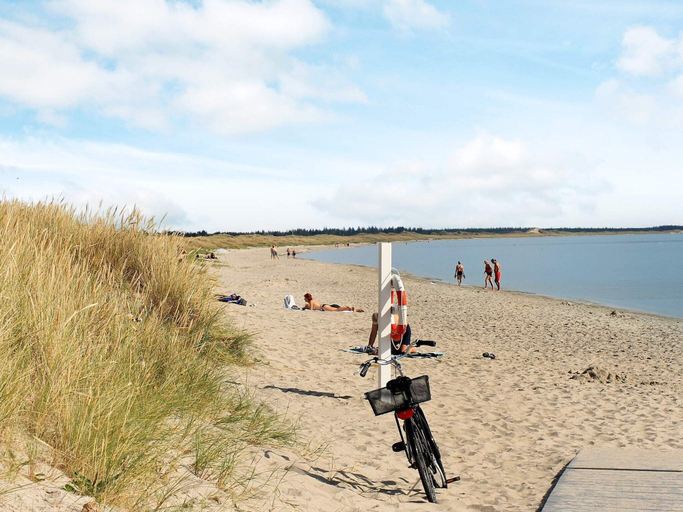 Others 4, 5 Star Holiday Home in Albaek, Frederikshavn