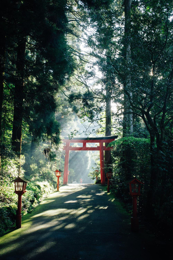 Others 5, Hakone Villa, Hakone