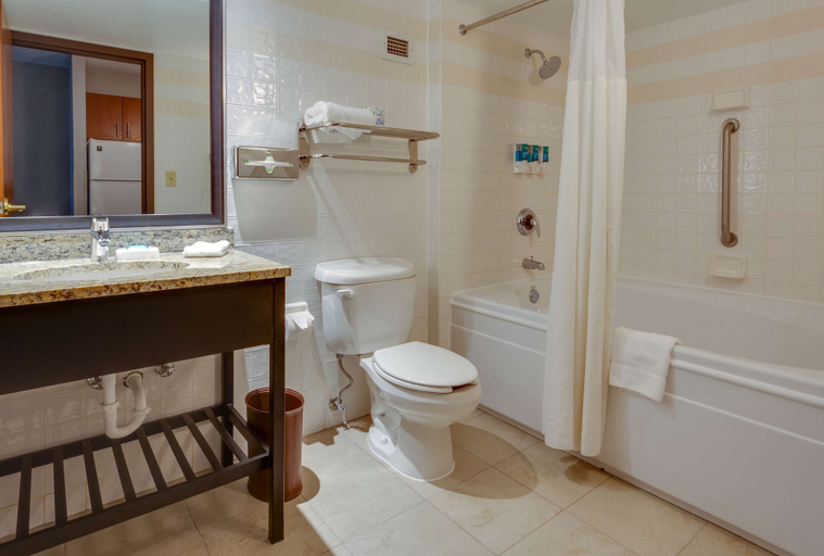 Bathroom 4, Drury Inn & Suites Hayti Caruthersville, Pemiscot