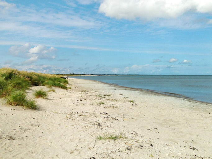 Others 5, 5 Star Holiday Home in Albaek, Frederikshavn