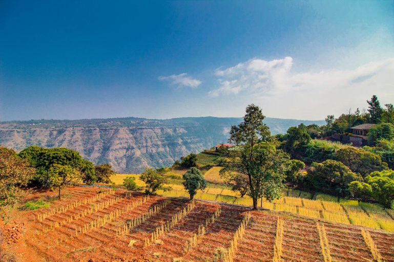 Exterior view 2, Lifeline Villas - Marvel Valley View 5Bhk With Private Pool,Surrounded by strawberry farms, Satara