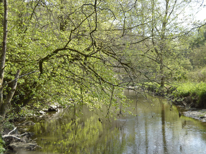 Others 4, Pet-friendly Escape in Fauvillers, Luxembourg