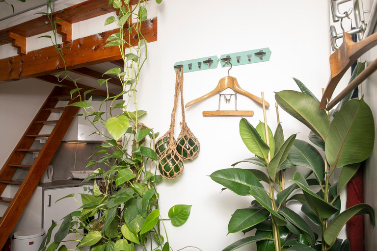 Others 5, Cosy Studio !!!, Paris