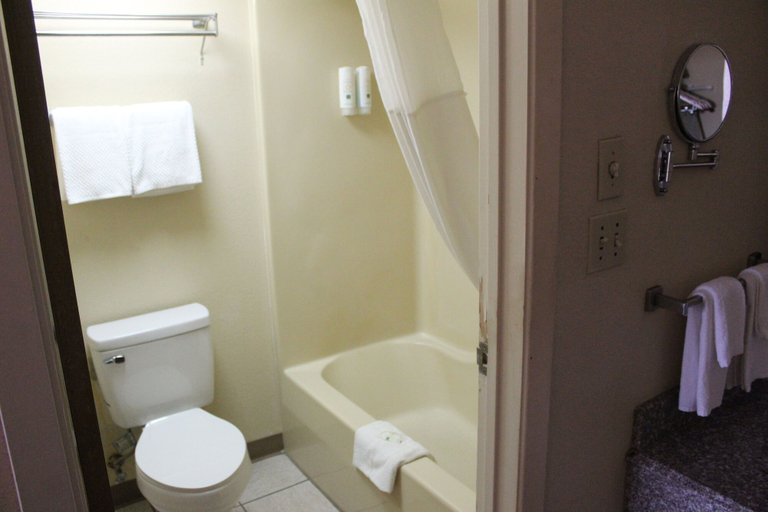 Bathroom 3, Quality Inn Conway - Greenbrier, Faulkner