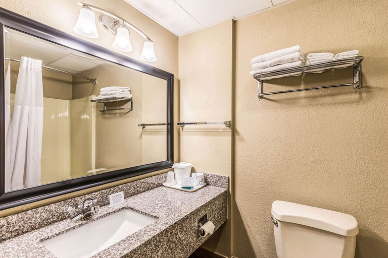 Bathroom 4, Quality Inn West Plains, Howell