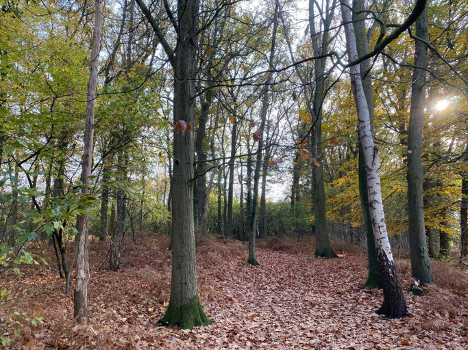 Others 3, Groepsaccommodatie - De Ooymanhoeve, Doetinchem