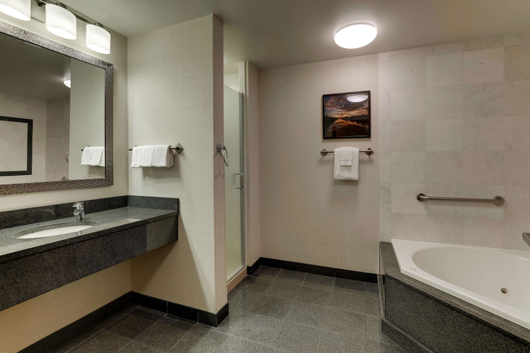 Bathroom 4, Drury Inn & Suites St. Louis Arnold, Jefferson