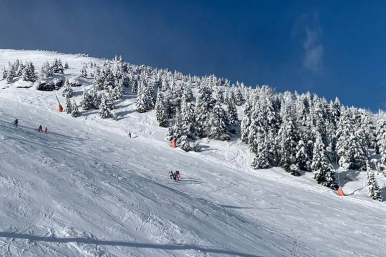 Others 4, Apartment in St. Michael near Ski Slopes, Tamsweg