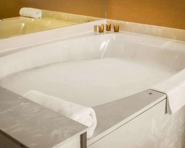 Bathroom 4, Quality Inn & Suites Port Huron, Saint Clair