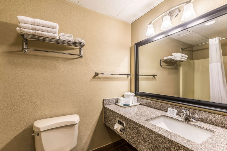 Bathroom 4, Quality Inn West Plains, Howell