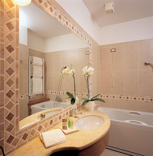 Bathroom 5, San Lorenzo, Sondrio