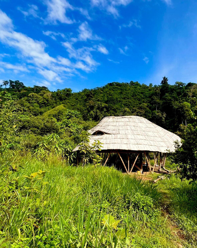 Others 5, Blue Dot - jungle eco hostel, Santa Marta (Dist. Esp.)