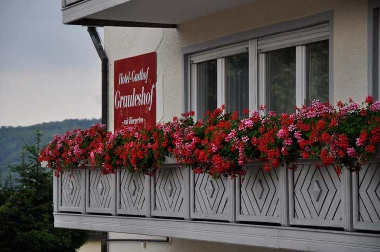 Exterior & Views 1, Hotel Grauleshof, Ostalbkreis