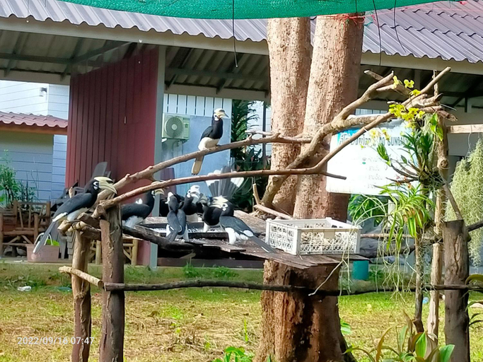 Others 4, ECO BUNGALOW, Muang Ranong