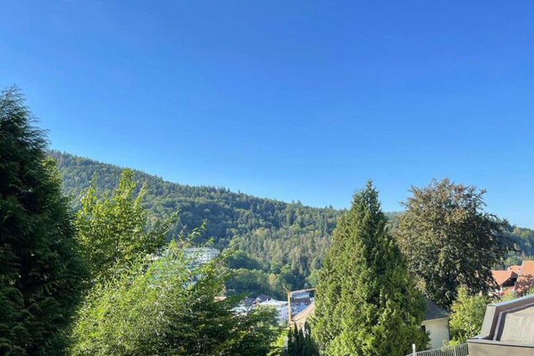 View from property 3, Compact Apartment in Bad Herrenalb With Forest Views, Calw