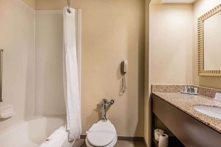 Bathroom 3, Comfort Inn & Suites Jasper Hwy 78 West, Walker