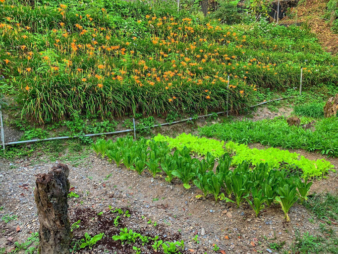Others 2, Tian Hsiang Tea Hostel, Nantou