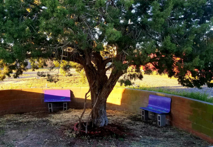 Exterior & Views 4, Stargazing Retreats Homestay, Yavapai