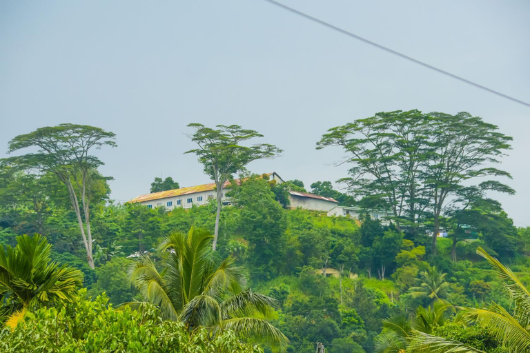 Others 4, Thilina Guest, Badulla
