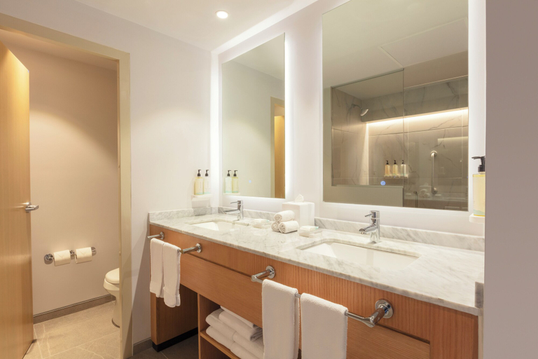 Bathroom 4, Hilton Garden Inn Guadalajara Airport, Tlajomulco de Zúñiga