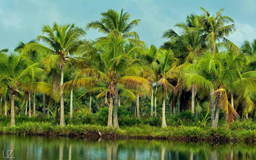 Others 3, Munroe Meadows, Kollam