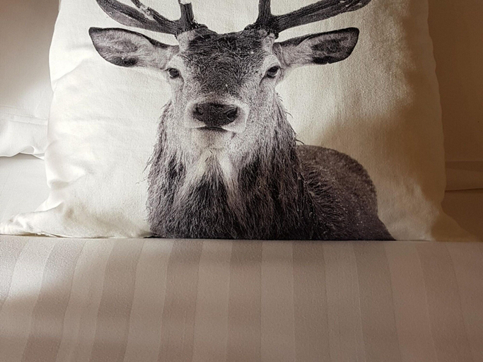 Bedroom 3, Tranquil Stay in Vielsalm, Luxembourg
