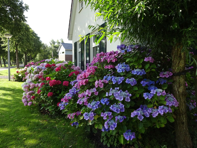 Exterior & Views 2, Holiday Home in Steendam by Schild Lake, Slochteren