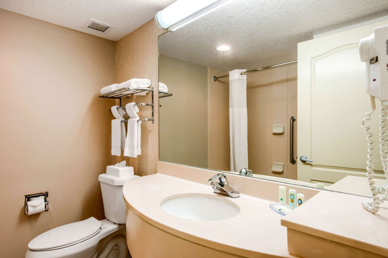 Bathroom 4, Quality Inn & Suites Tarpon Springs South, Pinellas