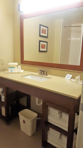 Bathroom 4, Comfort Suites Austin NW Lakeline, Williamson