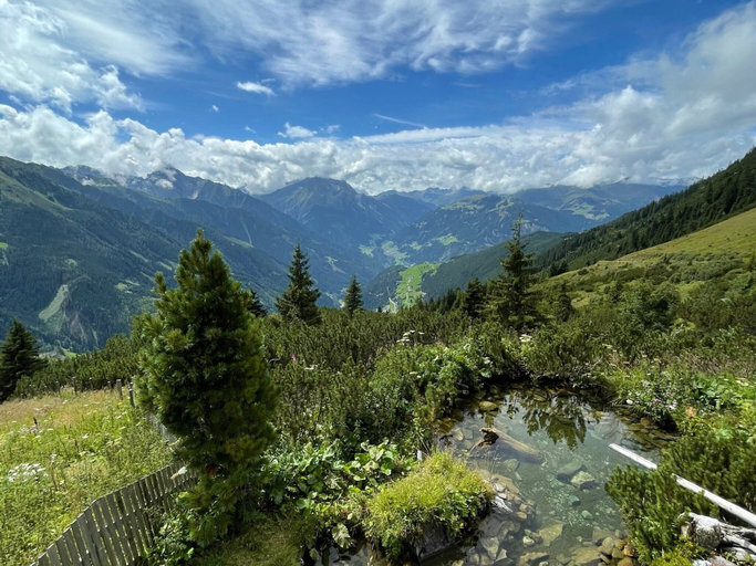 Others 5, Alluring Apartment in Mayrhofen near Forest, Schwaz