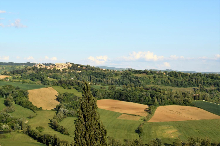 Others 3, "Villa Bizzi", Perugia