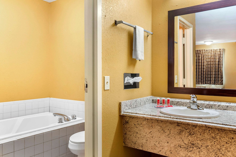 Bathroom 4, Econo Lodge Cuthbert, Randolph