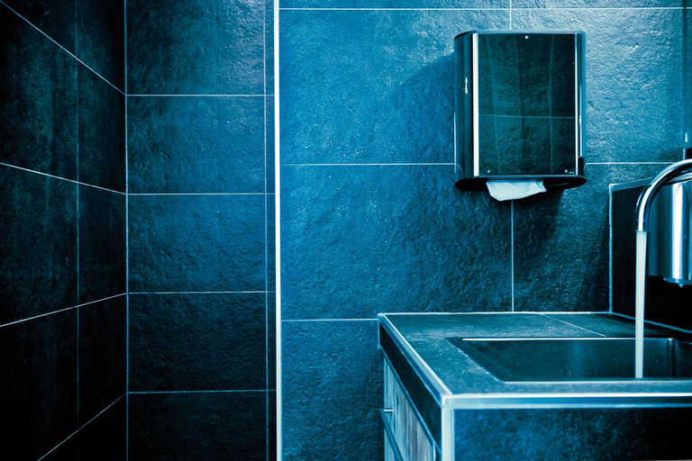 Bathroom, FidazerHof, Imboden