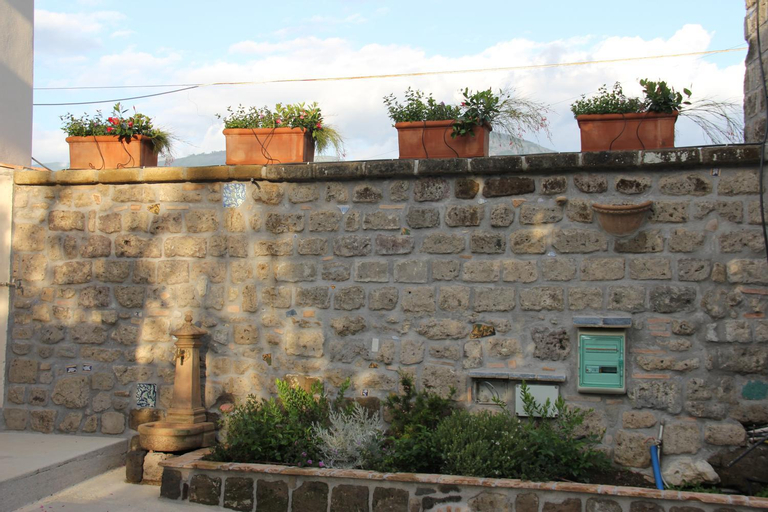 Villa Flavia, Napoli