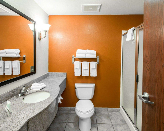 Bathroom 4, Sleep Inn & Suites Palatka North, Putnam