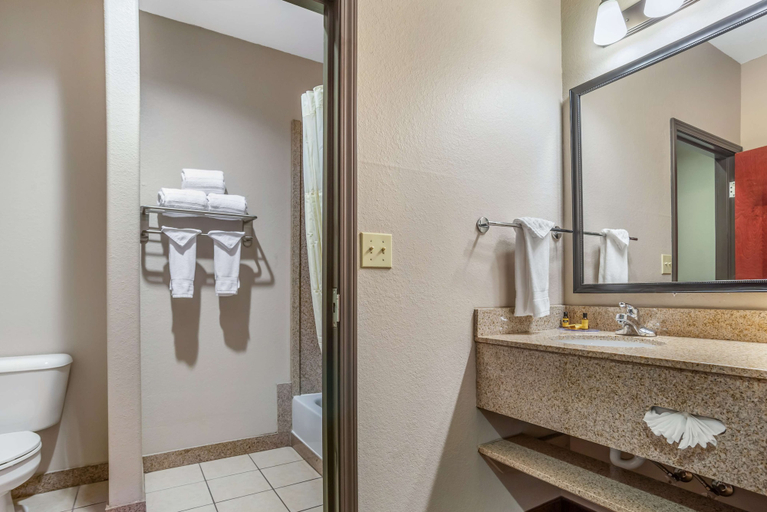 Bathroom 4, Best Western Plus Circle Inn, Coffee