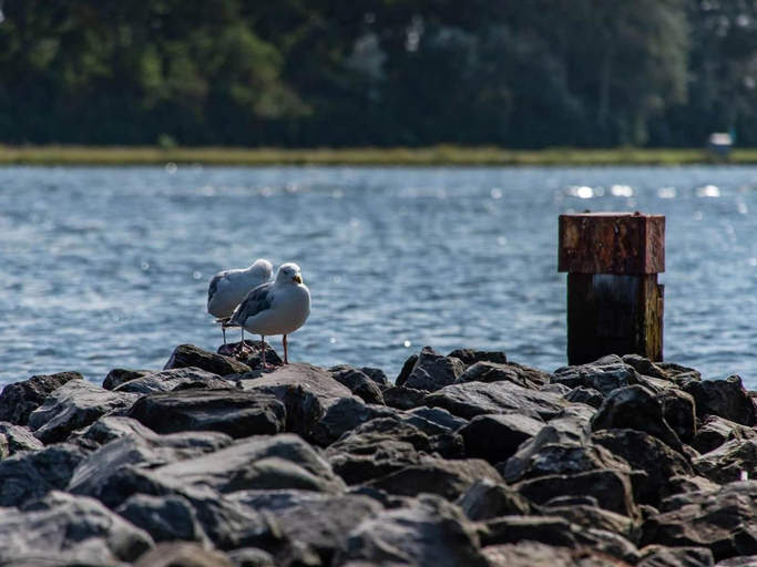 View from property 3, Holiday Home Near Veerse Meer, Noord-Beveland