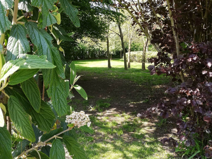 Others 5, Beautiful Villa for Groups With Swimming Pool, Sauna and Wifi, Oost-Vlaanderen