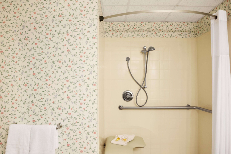 Bathroom 4, Days Inn by Wyndham Grayling, Crawford