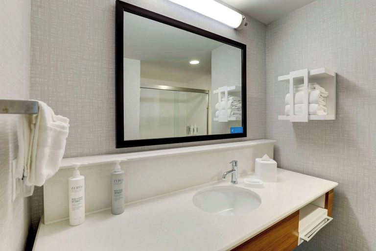 Bathroom 4, Hampton Inn & Suites Rome, Floyd