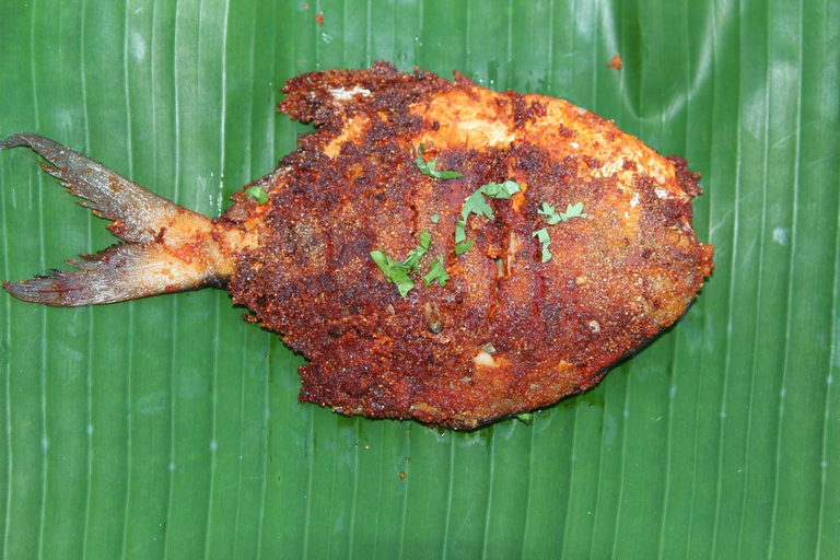 Food & Drinks 4, The Blue View By Timber, Ratnagiri