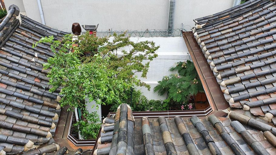 Others 4, Seochon Guesthouse, Jongno