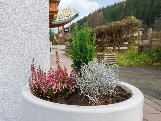 Exterior & Views 2, Apartment in Wald Near Zillertal Ski Area, Zell am See