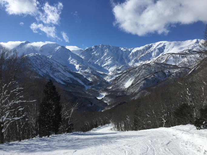 Others 4, Lodge Blue Mount Hakuba, Hakuba