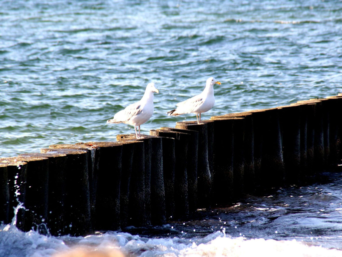Others 3, Ferienwohnung, Ostseebad Rerik, Rostock